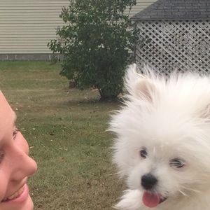 Meet your Posher, Ava